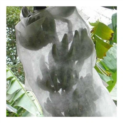 Túi giữ chuối