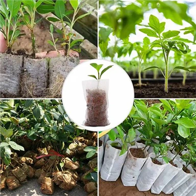 Túi ươm cây không dệt có thể phân hủy sinh học