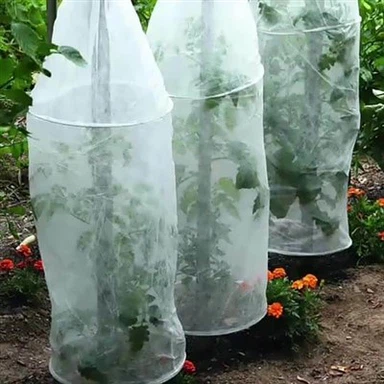 Lớp phủ mặt đất không dệt